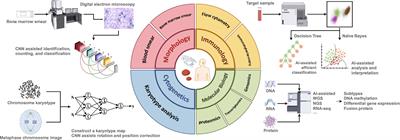 Optimization of diagnosis and treatment of hematological diseases via artificial intelligence